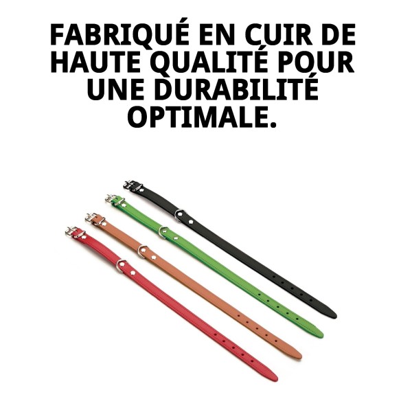 Collier en Cuir Lisse pour Animaux de Compagnie 30 x 1,3 cm