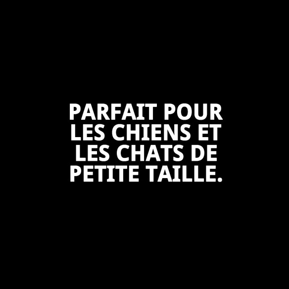 Collier en Cuir Lisse pour Animaux de Compagnie 30 x 1,3 cm