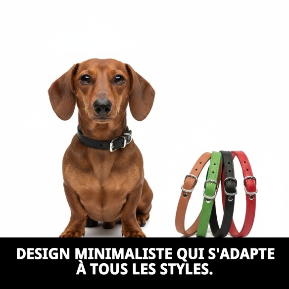 Collier en Cuir Lisse pour Animaux de Compagnie 30 x 1,3 cm