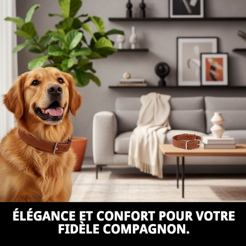 Collier en cuir lisse 40x1,5 cm - Qualité et style pour votre chien