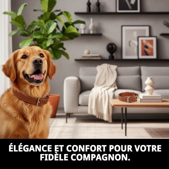 Collier en cuir lisse 40x1,5 cm - Qualité et style pour votre chien