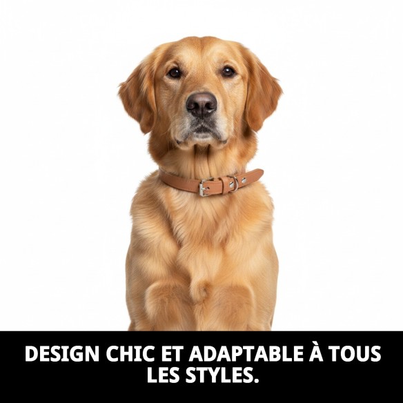 Collier en cuir lisse 40x1,5 cm - Qualité et style pour votre chien