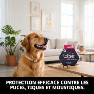Collier Taber Perméthrine 75 cm pour chiens : protection efficace 2