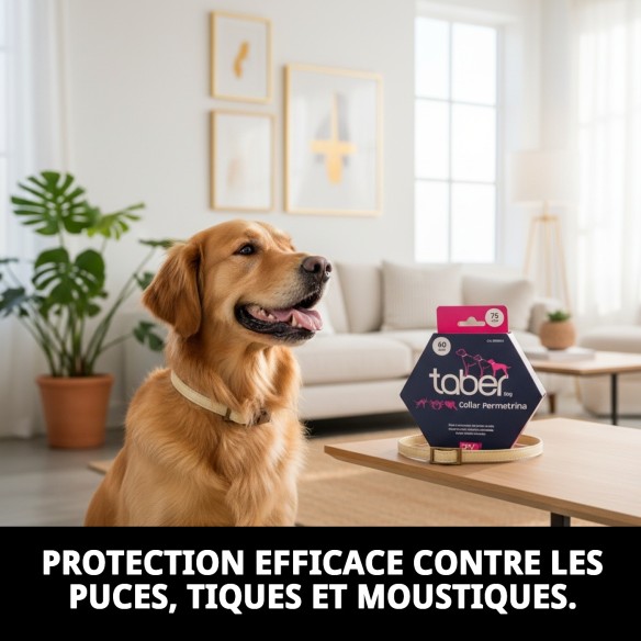 Collier Taber Perméthrine 75 cm pour chiens : protection efficace
