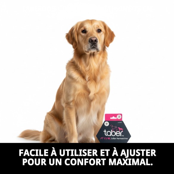 Collier Taber Perméthrine 75 cm pour chiens : protection efficace