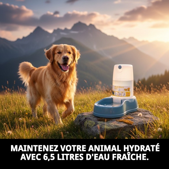 Abreuvoir Break Réserve 6,5L : Confort et Style pour Animaux de Compagnie