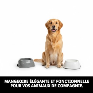Comportement Break N.1 17x17x6h pour votre animal de compagnie - Achetez maintenant ! 2
