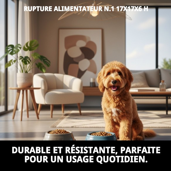 Comportement Break N.1 17x17x6h pour votre animal de compagnie - Achetez maintenant !