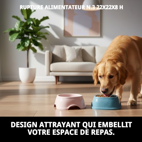 Gamelle Break N.3 22x22x8 cm pour votre animal de compagnie.