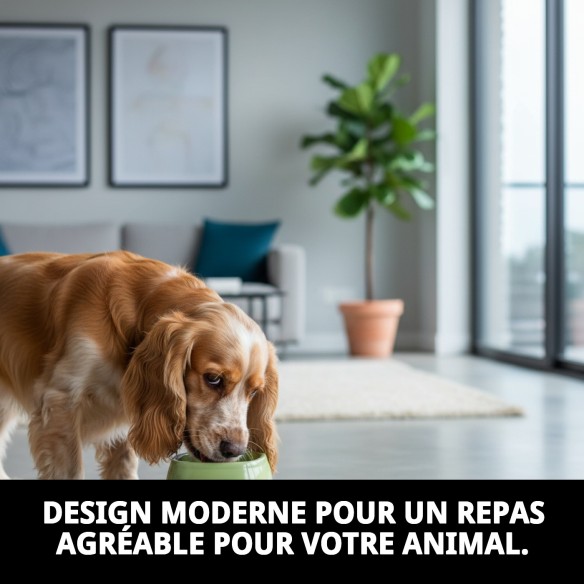 Bol alimentaire Break N.9 pour Cocker - Idéal et Pratique 19x19x11