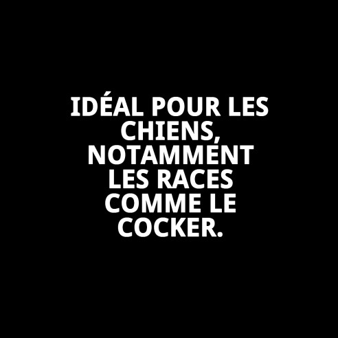 Bol alimentaire Break N.9 pour Cocker - Idéal et Pratique 19x19x11