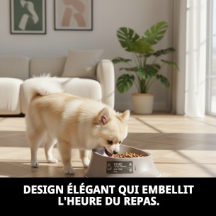 Bol Chic N1 0,35L Antidérapant et Stylé pour Animaux de Compagnie 2