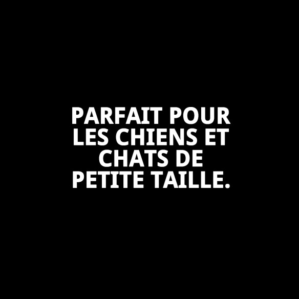 Bol Chic N1 0,35L Antidérapant et Stylé pour Animaux de Compagnie