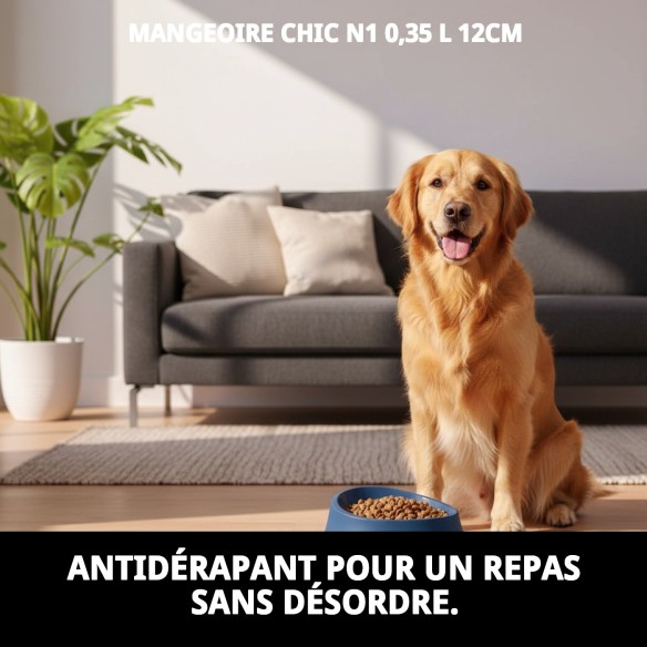 Bol Chic N1 0,35L Antidérapant et Stylé pour Animaux de Compagnie