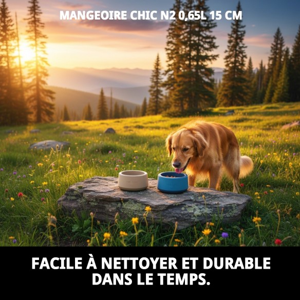 Bol Chic N2 0,65L - Élégance et confort pour votre animal de compagnie.