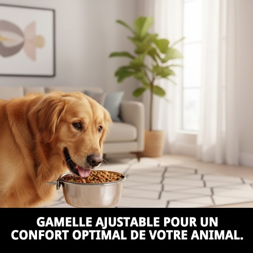 Bol alimentaire multifonction ajustable 15 cm - Idéal pour animaux de compagnie