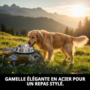 Bol de Nourriture en Acier Pyramide 12cm - Design Moderne et Pratique 2