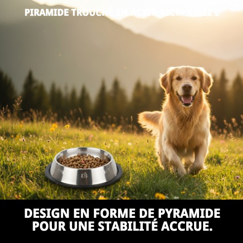 Bol de Nourriture en Acier Pyramide 12cm - Design Moderne et Pratique