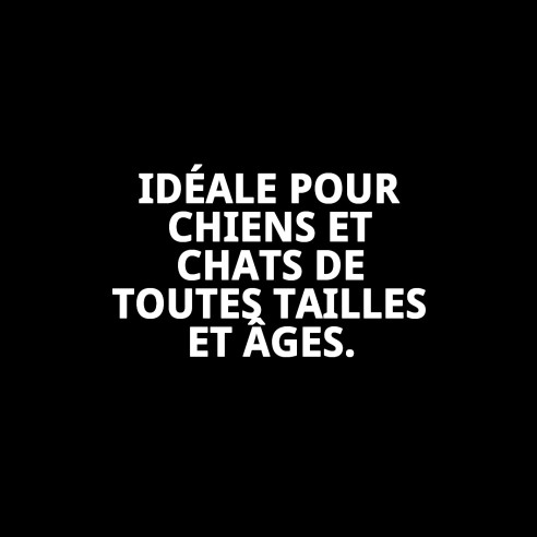 Comedero Multiusos Ajustable 7,5 cm pour Animaux de Compagnie