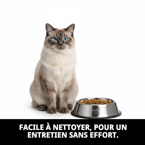 Gamelle en Acier Inoxydable pour Chat 12cm - Haute Qualité