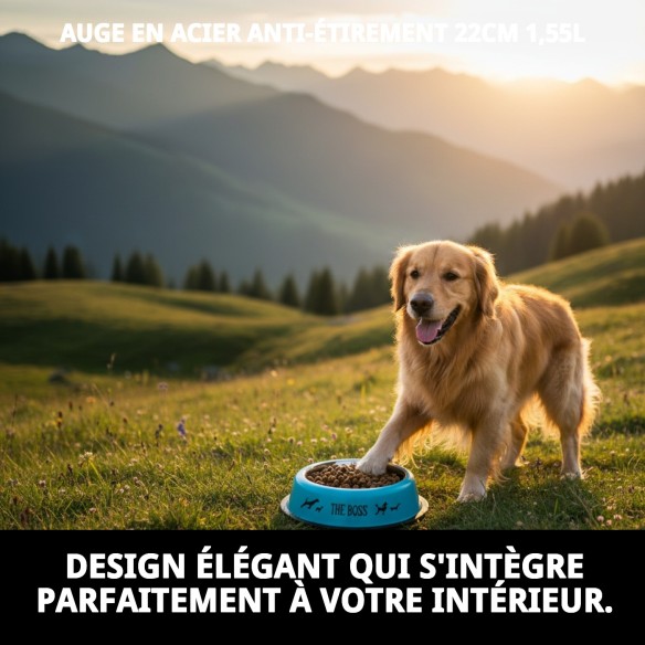 Bol de nourriture en acier antidérapant Draw 22 cm 1,55 L pour animaux de compagnie.
