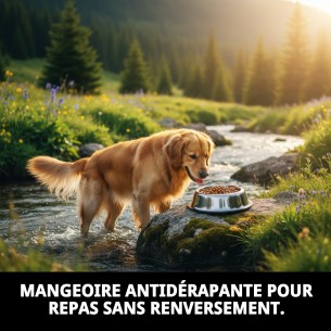 Gamelle en Acier Antidérapante Draw 25cm 2,35L pour Animaux de Compagnie 2