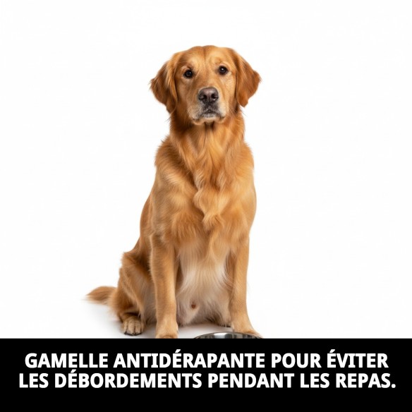 Bol en Acier Antidérapant Motif 18cm 0,90L pour Animaux de Compagnie