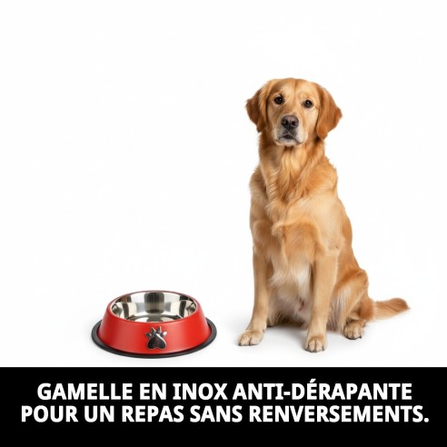 Gamelle en Acier Antidérapante Motif 25cm 2,35L pour Animaux de Compagnie