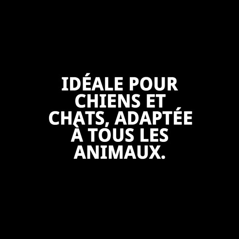 Gamelle en Acier Antidérapante Motif 25cm 2,35L pour Animaux de Compagnie