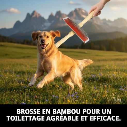 Brosse en Bambou Grande pour Toilettage d'Animaux