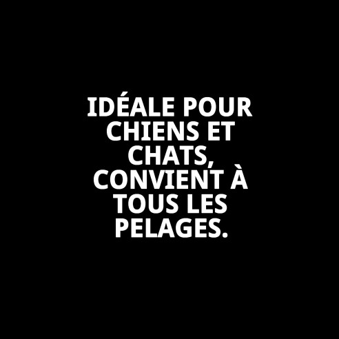 Brosse en Bambou Grande pour Toilettage d'Animaux