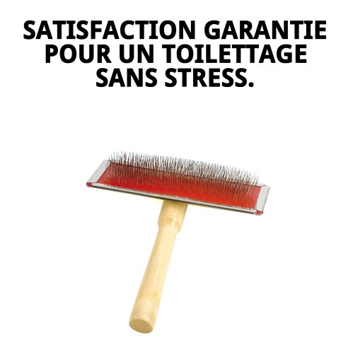 Brosse en Bambou Grande pour Toilettage d'Animaux