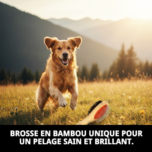 Brosse Double en Bambou avec Nylon pour Animaux - Prenez Soin de Leur Peau