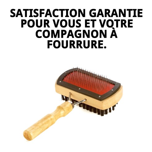 Brosse en Bambou Double Face pour Animaux - Moly