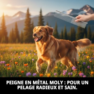 Peigne Métallique Moly pour une Coiffure Parfaite 2