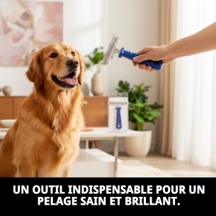 Râteau Métallique pour Animaux de Compagnie - Qualité et Durabilité 2