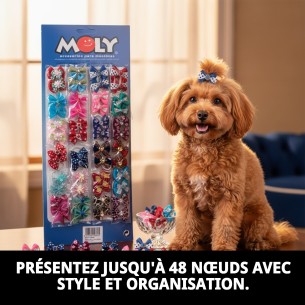Exposant de Lacets 24x2 : Organisez avec Style pour Animaux de Compagnie 2