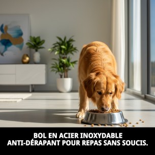 Bol anti-dérapant en acier 16 cm 0,55 L pour animaux de compagnie. 2