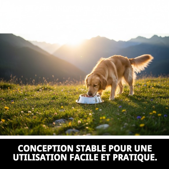 Bol anti-dérapant en acier 16 cm 0,55 L pour animaux de compagnie.