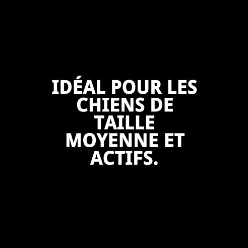 Bol en acier pour Cocker 17,5 cm - 0,90 L qui dure