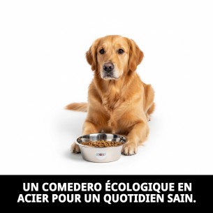 Bol en acier Eco 25 cm - Capacité 2,6 L pour animaux de compagnie 2