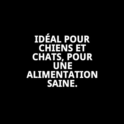 Bol en acier Eco 25 cm - Capacité 2,6 L pour animaux de compagnie