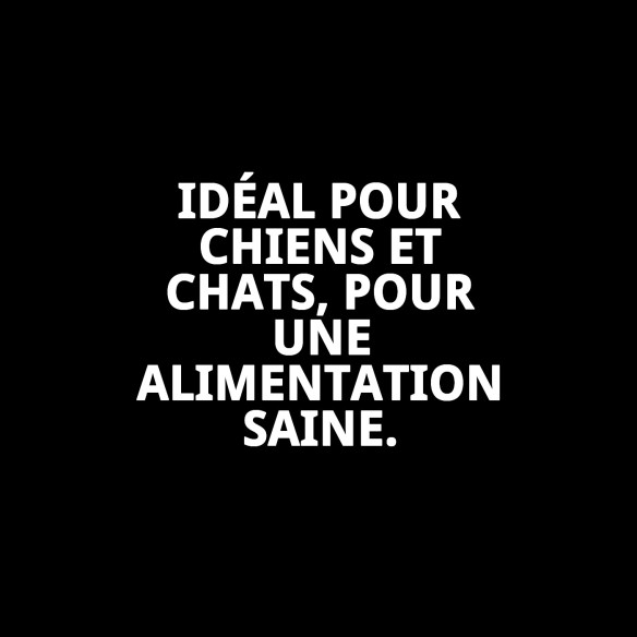 Bol en acier Eco 25 cm - Capacité 2,6 L pour animaux de compagnie