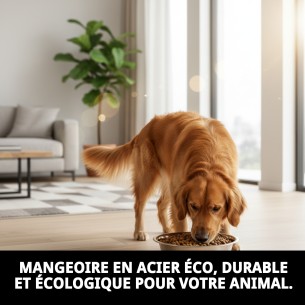 Bol en acier Eco 29 cm - Idéal pour votre animal de compagnie 2