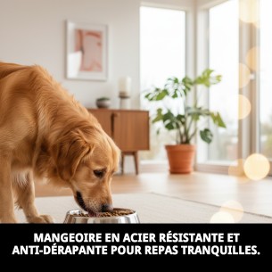 Bol en Acier Antidérapant 22 cm - 1,55 L pour Animaux de Compagnie 2