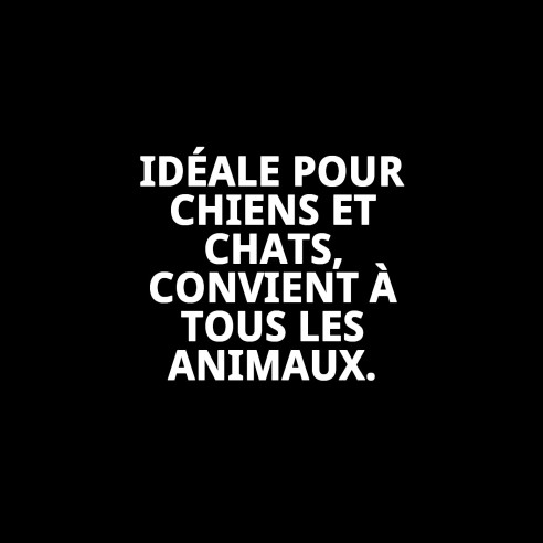 Bol en Acier Antidérapant 22 cm - 1,55 L pour Animaux de Compagnie
