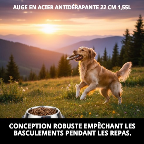 Bol en Acier Antidérapant 22 cm - 1,55 L pour Animaux de Compagnie