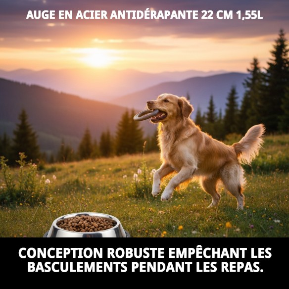 Bol en Acier Antidérapant 22 cm - 1,55 L pour Animaux de Compagnie