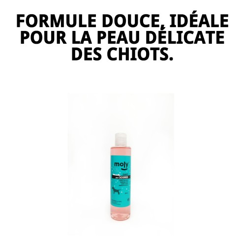 Shampoo pour Chiots 250ml : Douceur et Soin Naturel