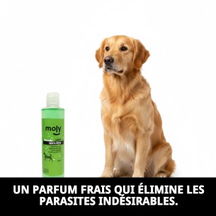 Shampoo Menthe Fraîche pour Chiens - 250ml, Hygiène et Parfum 2